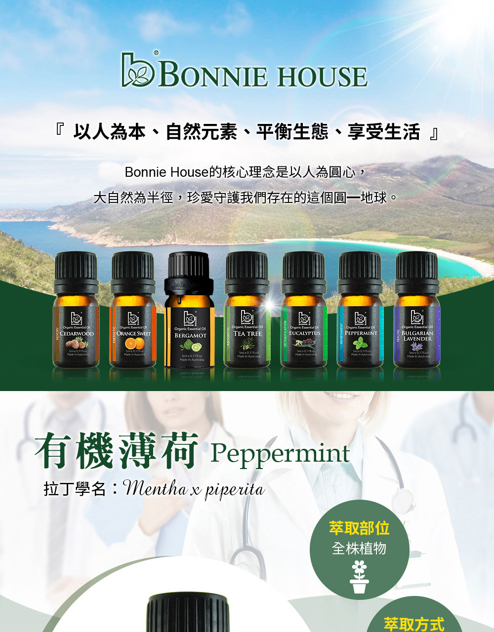 薄荷精油介紹，英文Peppermint Essential Oil，學名Mentha Piperita