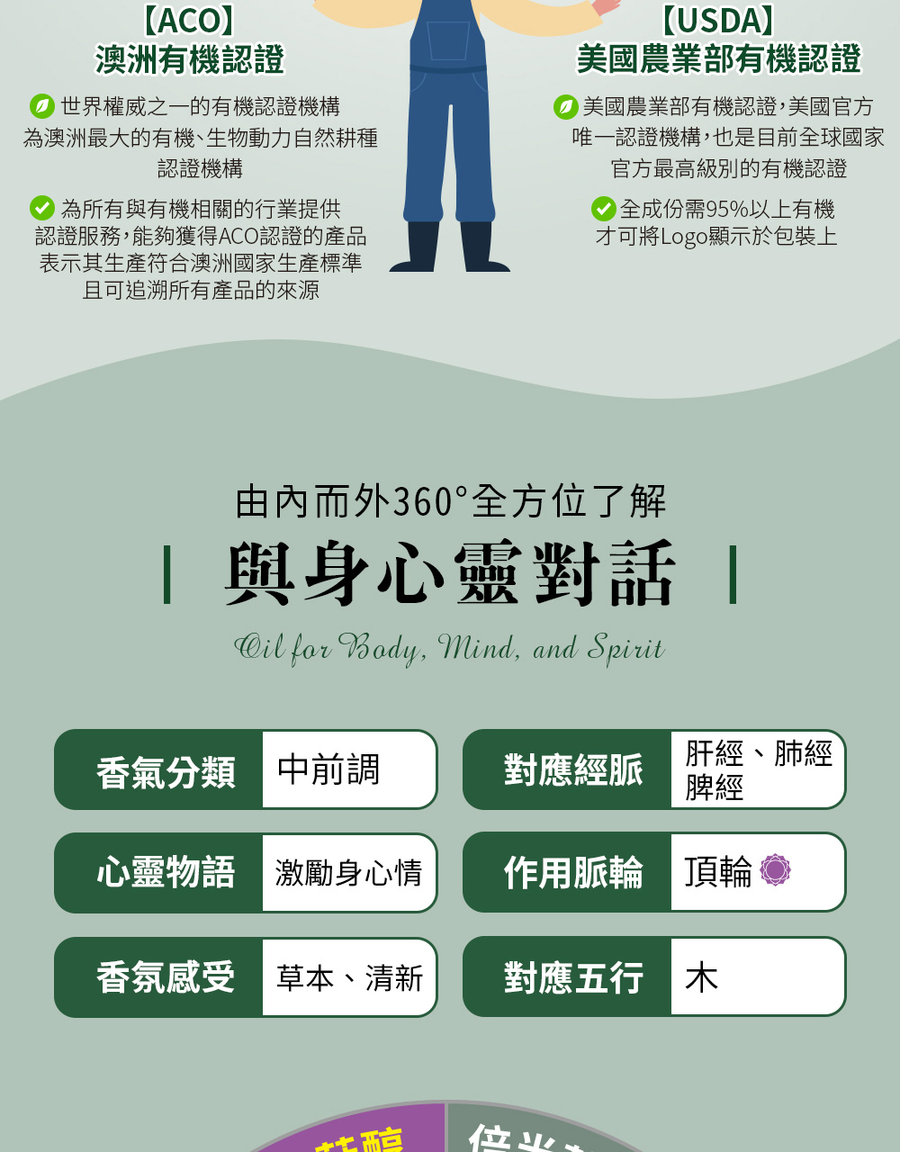 薄荷精油五行屬木，對應經脈為肝經、肺經、脾經，對應脈輪為第七脈輪-頂輪，心靈物語是激勵身心情。