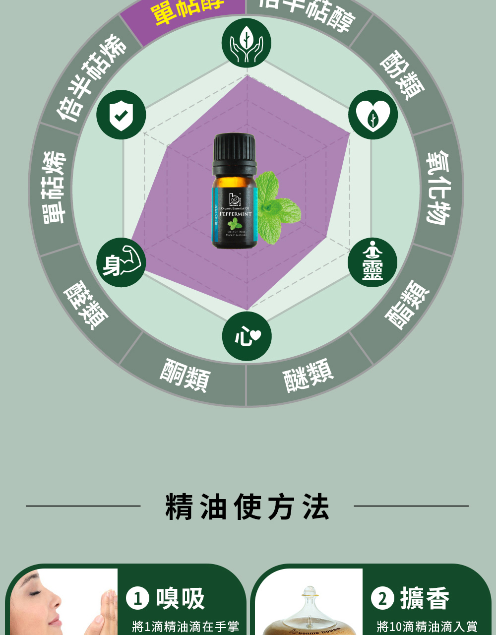 薄荷精油主要成分為薄荷醇(單萜醇)、左旋薄荷酮(單萜酮)
