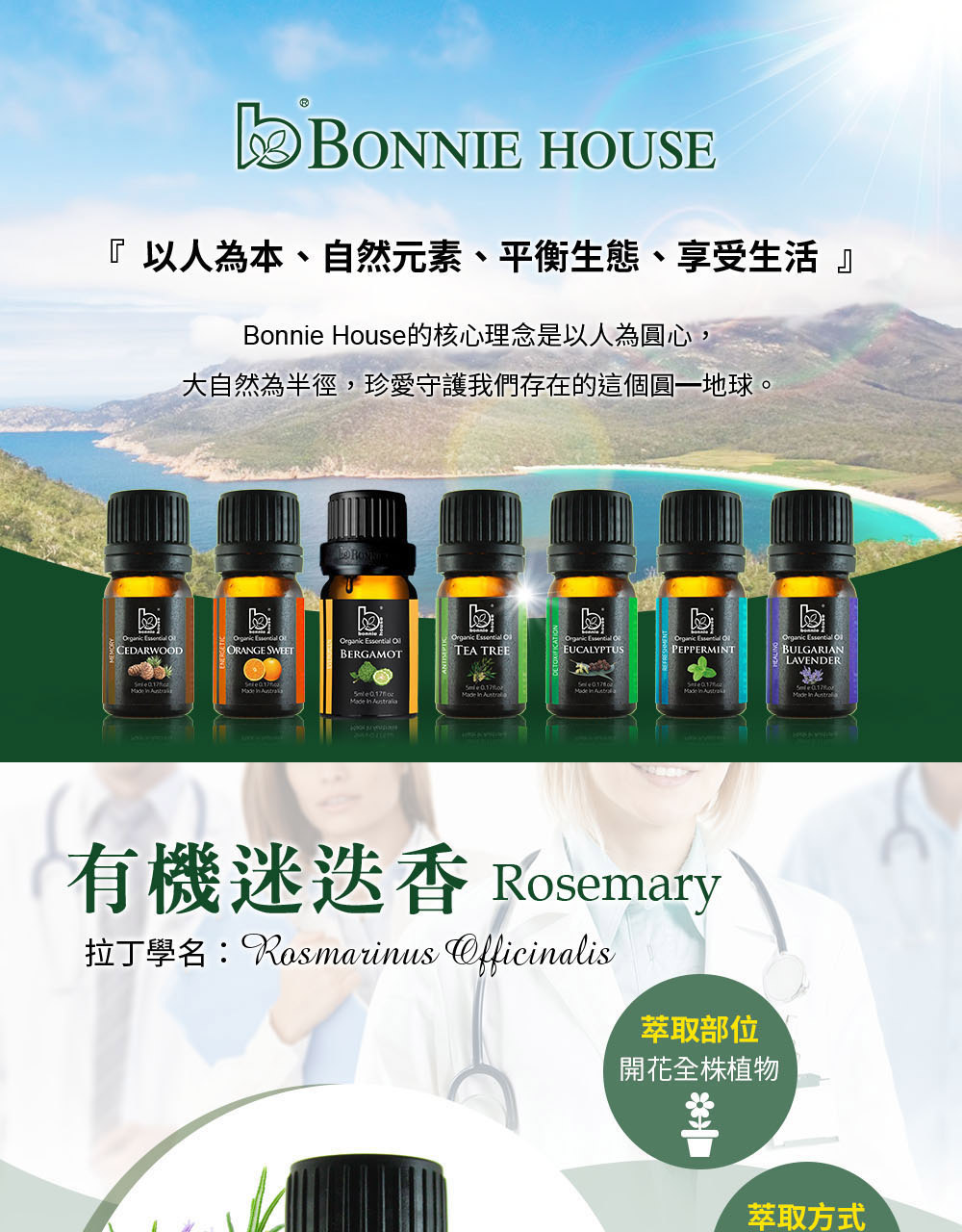 迷迭香介紹，英文Rosemary Essential Oil，學名Rosmarinus officinalis