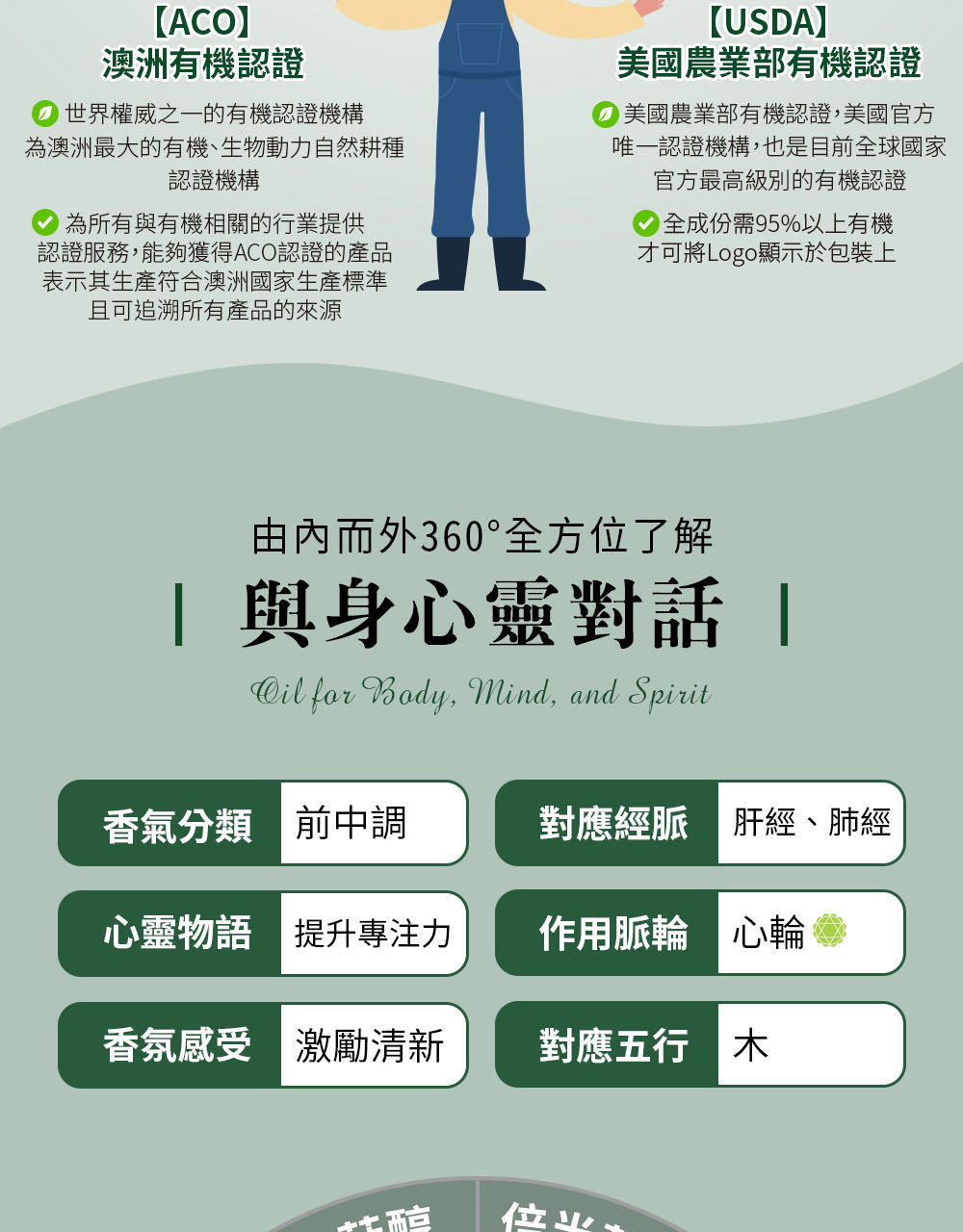迷迭香精油五行屬木，對應經脈為肝經及肺經，對應脈輪為第四脈輪-心輪，心靈物語是提升專注力。