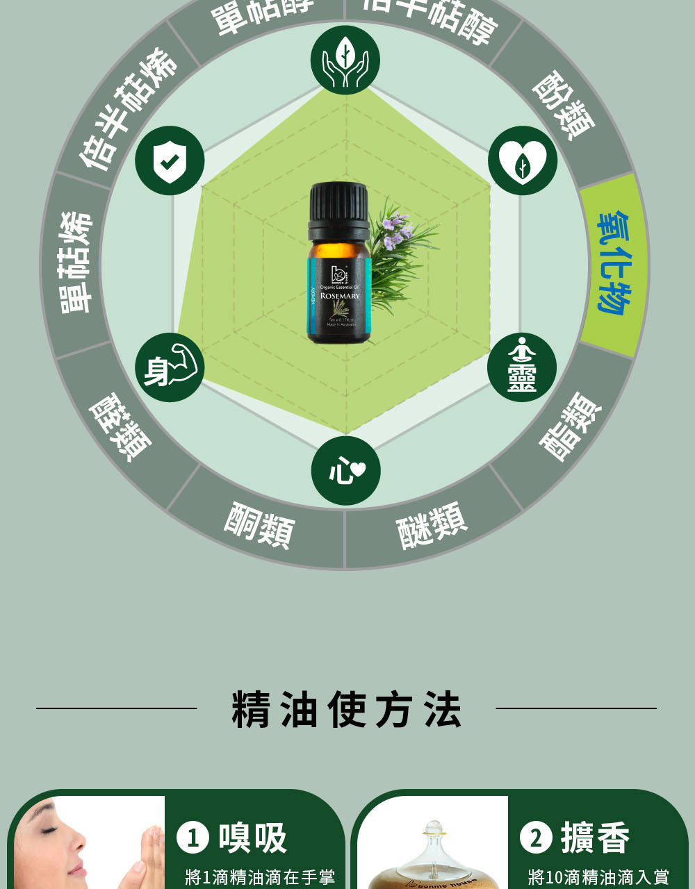 迷迭香精油主要成分為桉油醇(氧化物)、&alpha;-蒎烯(單萜烯)、樟腦(單萜酮)