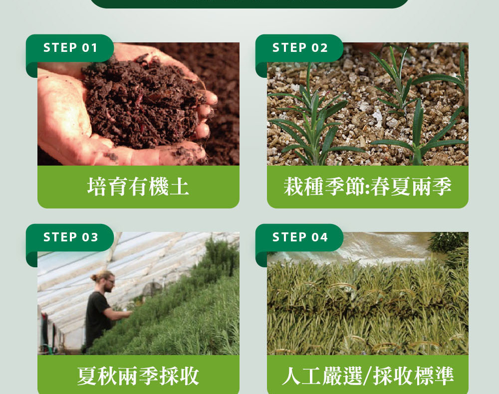 精油有機認證流程