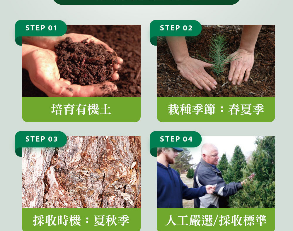 精油有機認證流程