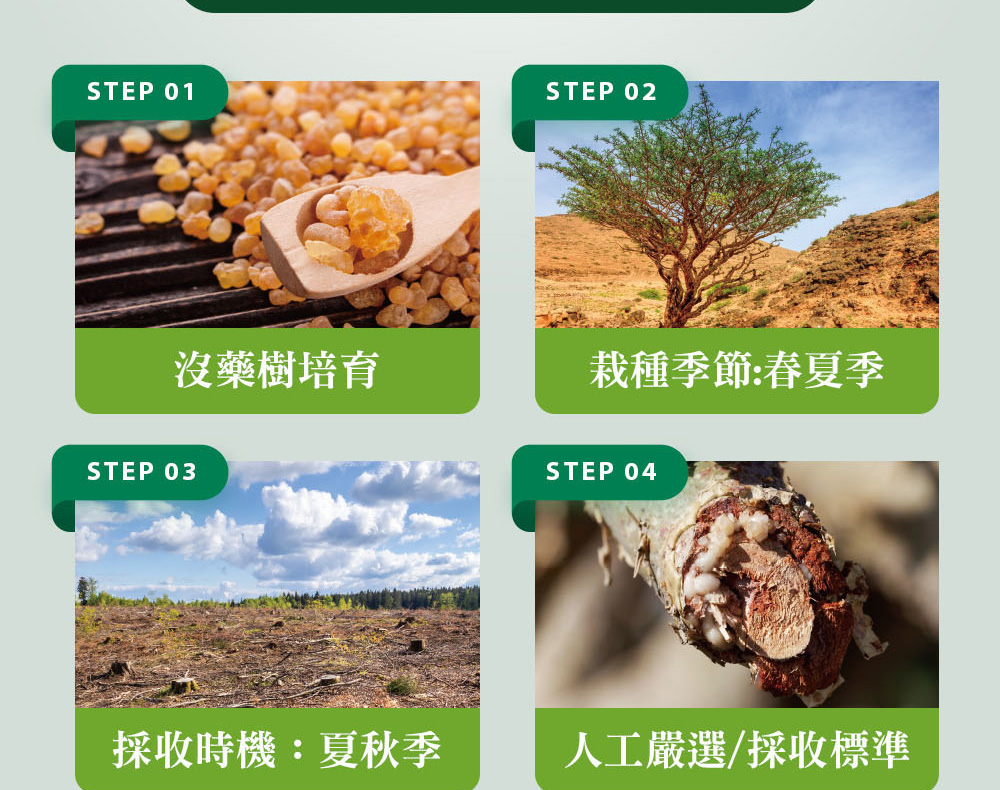 精油有機認證流程