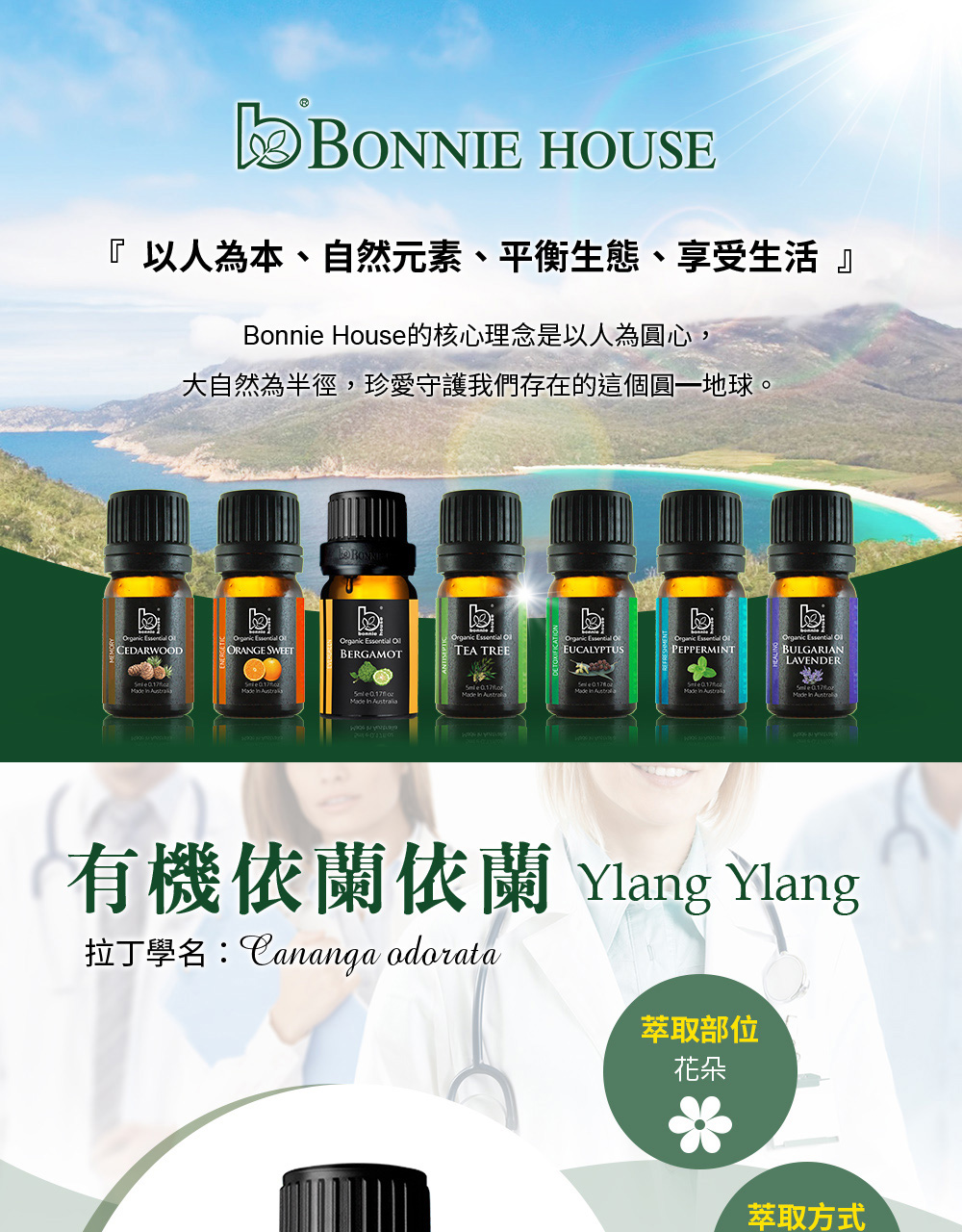 依蘭依蘭精油介紹,英文Ylang Ylang Essential Oil,學名Cananga odorata