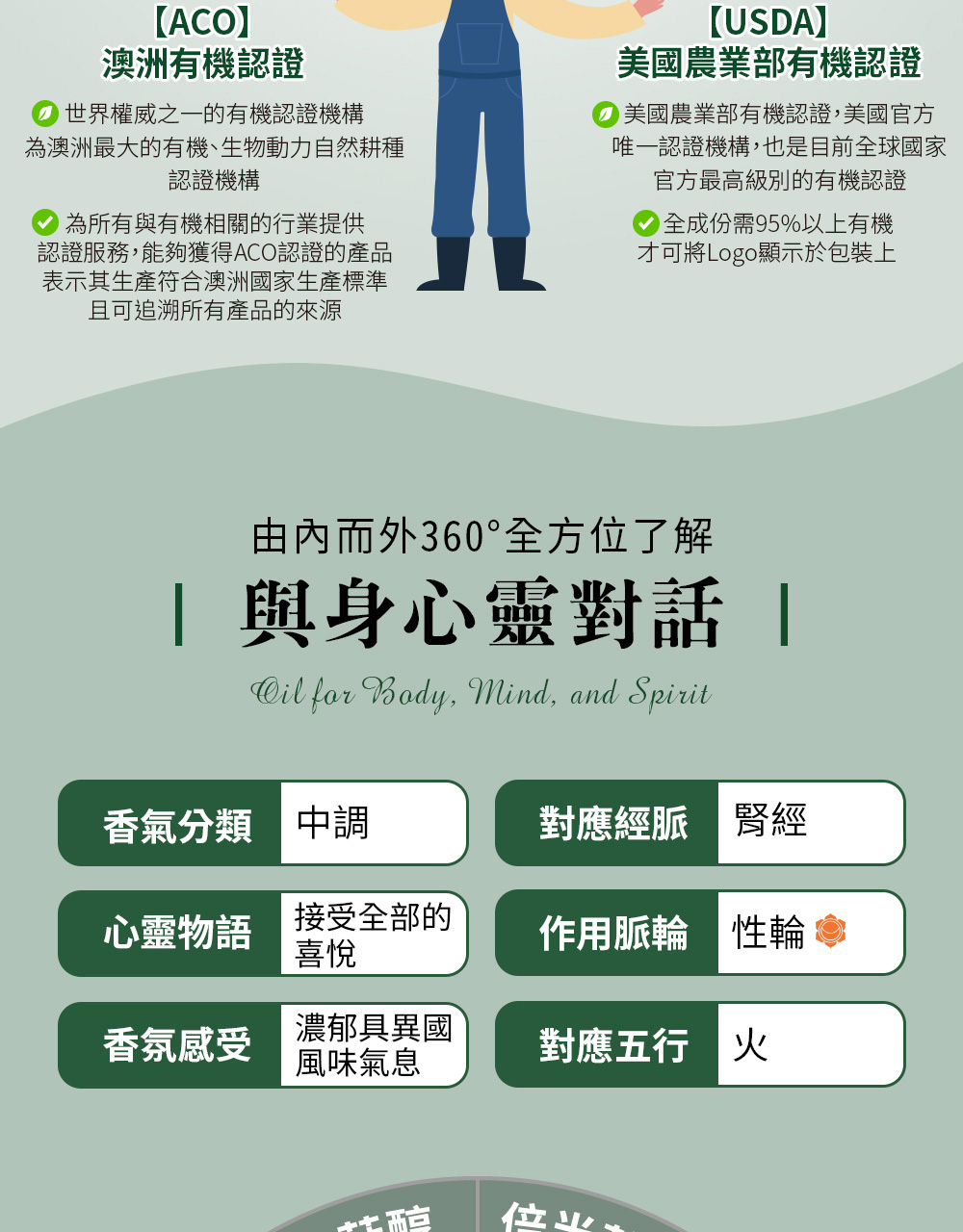 依蘭依蘭精油五行屬火,對應經脈為腎經、對應脈輪為第二脈輪-性輪,心靈物語是濃郁、具異國風味氣息。