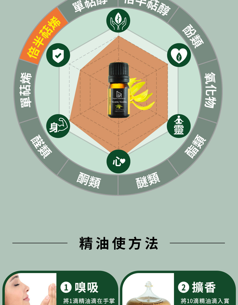 依蘭依蘭精油主要成分為大根老鸛草烯(倍半萜烯)、α-金合歡烯(倍半萜烯)、β-石竹烯(倍半萜烯)、苯甲酸芐脂(脂類)