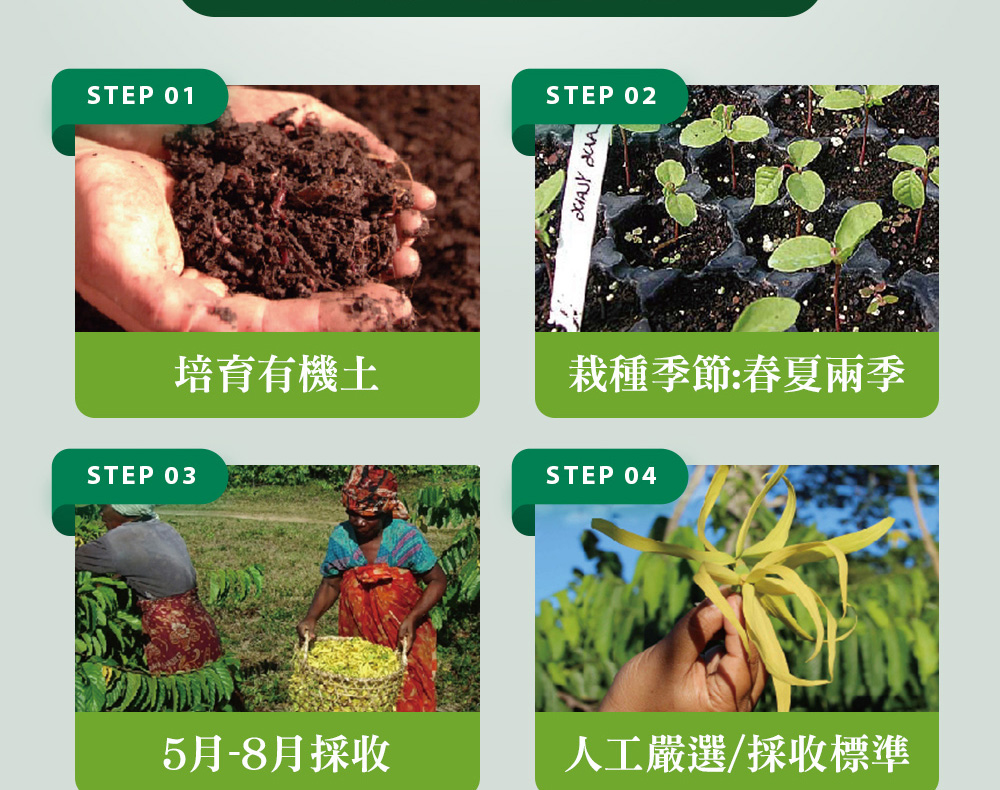 精油有機認證流程