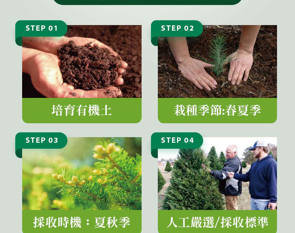 精油有機認證流程