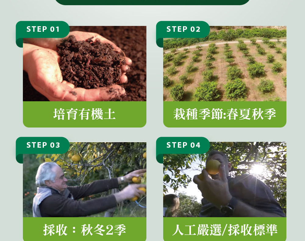 精油有機認證流程