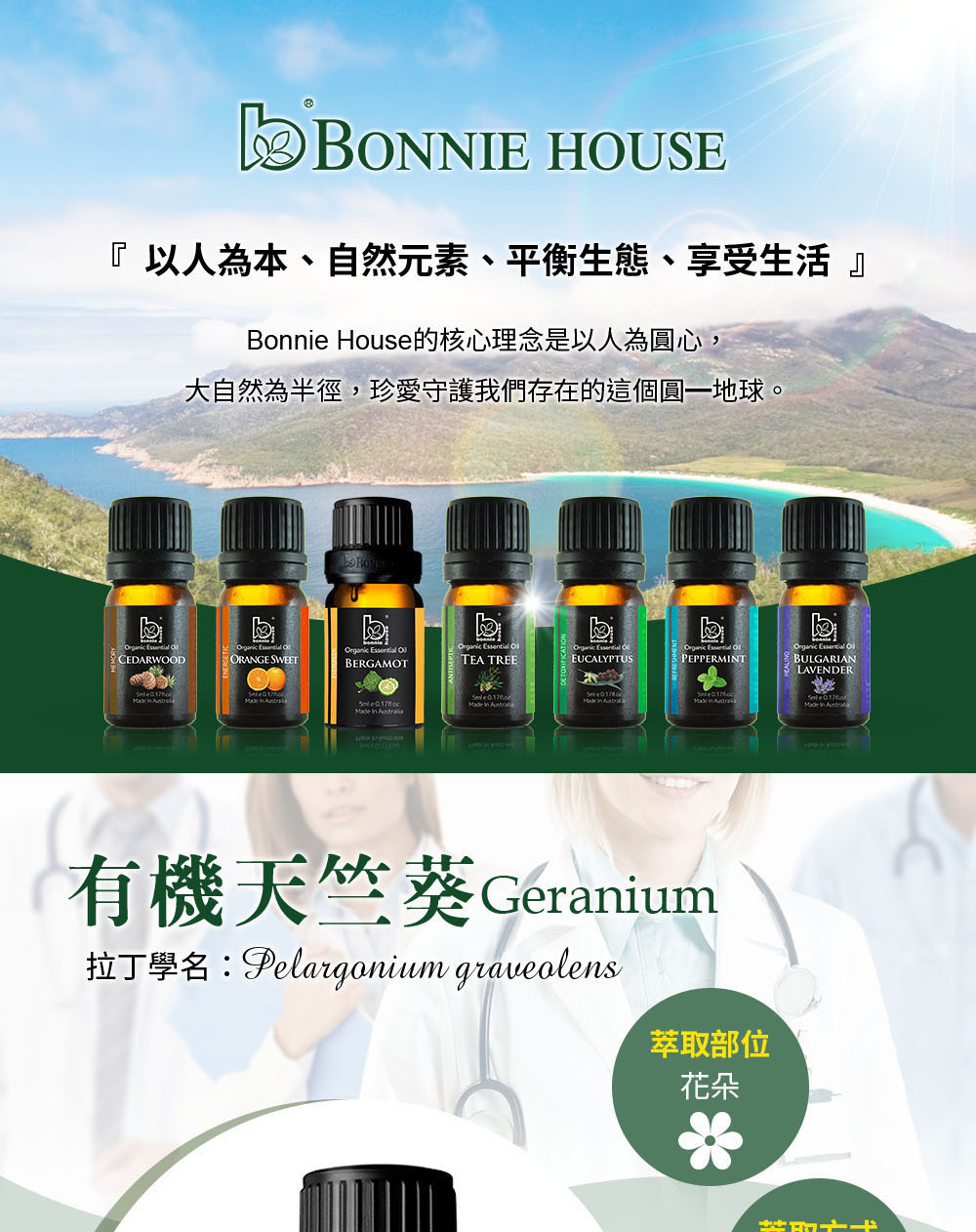 天竺葵精油介紹,英文Geranium Essential Oil,學名Pelargonium Graveolens