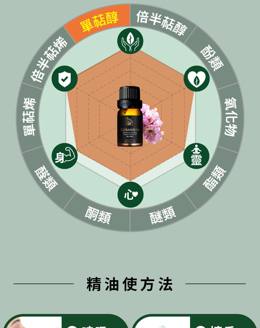 天竺葵精油主要成分是單萜醇類,包含牻牛兒醇、香茅醇、薄荷腦,也包含甲酸牻牛兒酯、醛類。