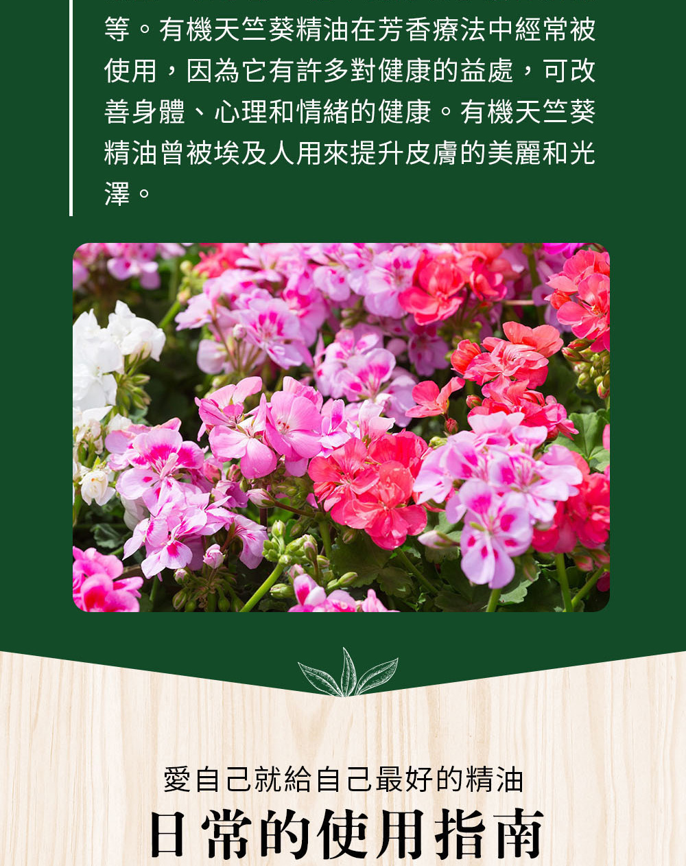 天竺葵精油的故事,曾經被埃及人用來提升皮膚的美麗與光澤。