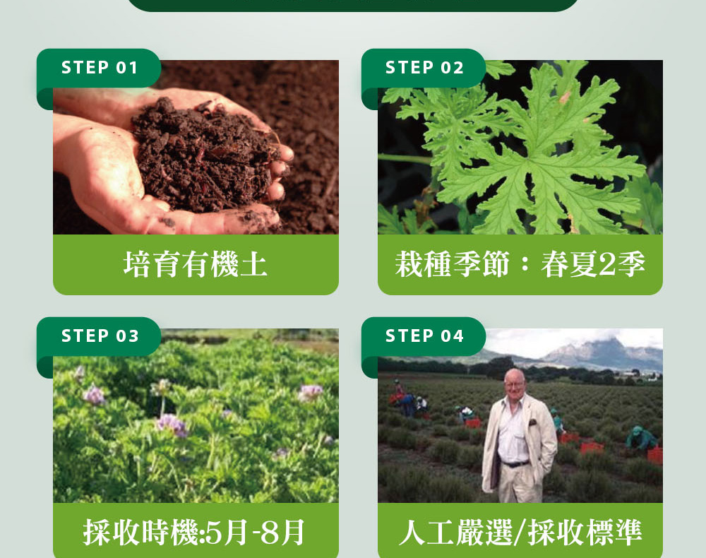 精油有機認證流程